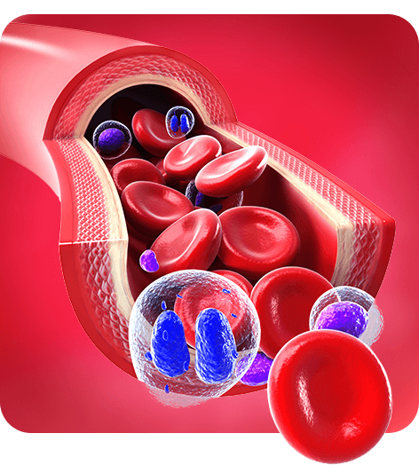 Imagem Hematologia